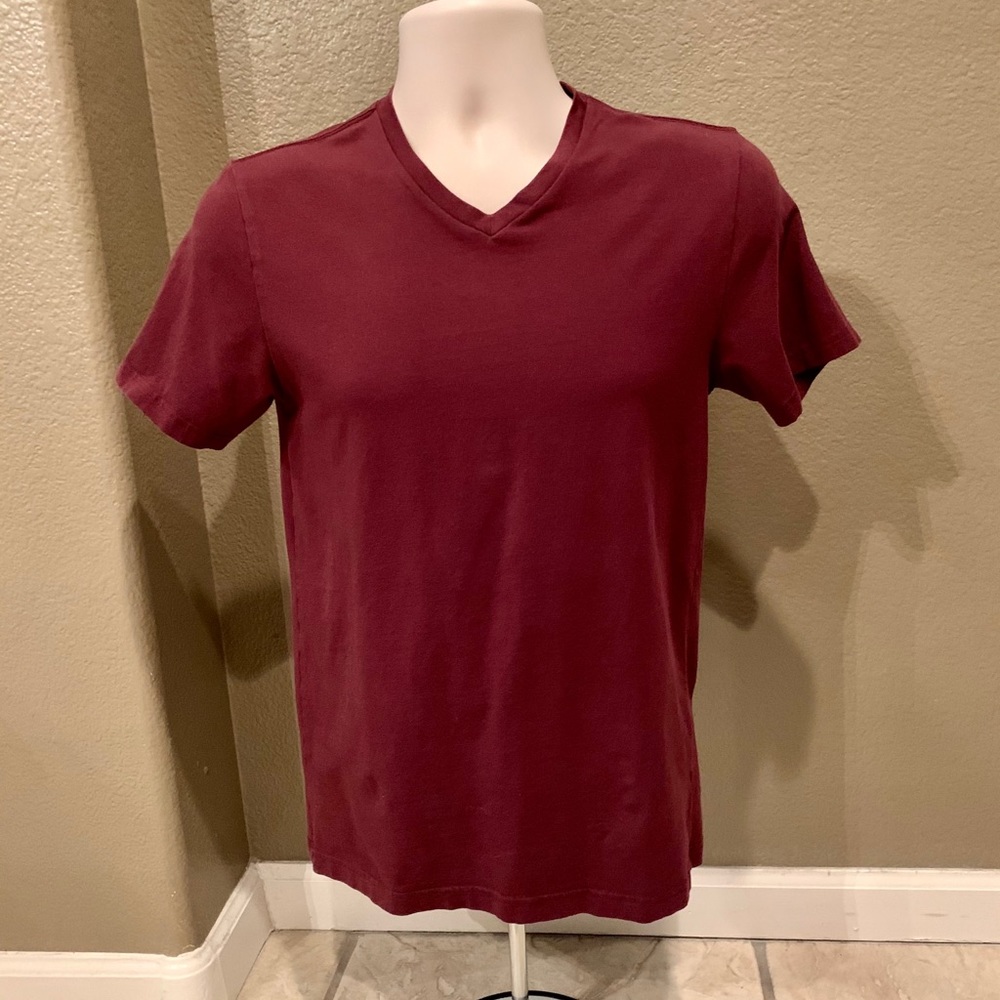 Express Men’s, NWOT, Small V-Neck T. Short Sleeve!
